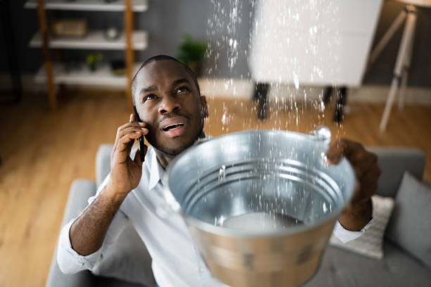 Best Ceiling water damage repair  in Manson, WA