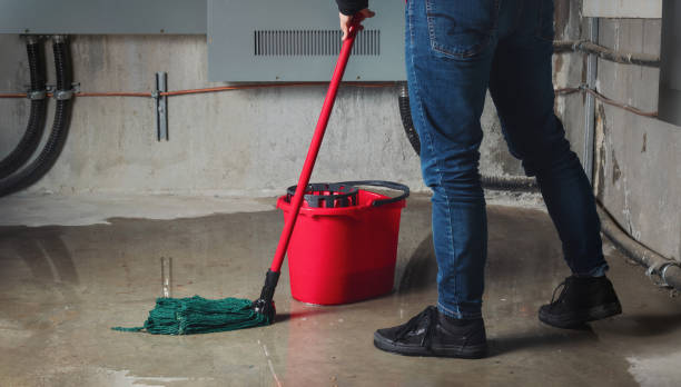 Best Carpet water damage restoration  in Manson, WA