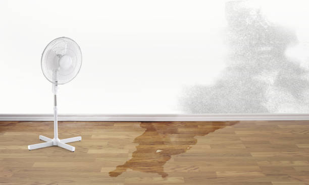 Best Fire Damage Restoration  in Manson, WA