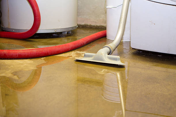 Best Commercial water damage restoration  in Manson, WA